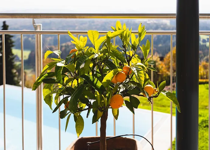 בית נופש Greim15 --- Ganzes Mit Fernsicht, Pool, Wellness דויטשלנדסברג